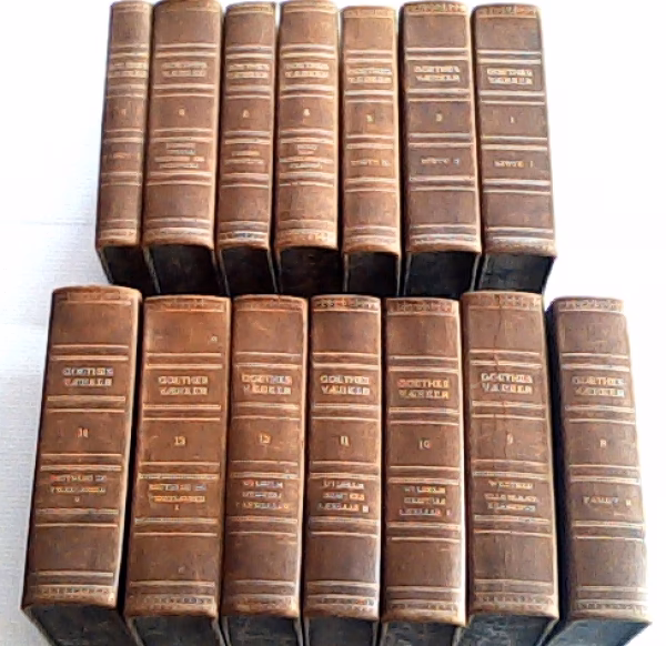 Hvad er Goethe berømt for?