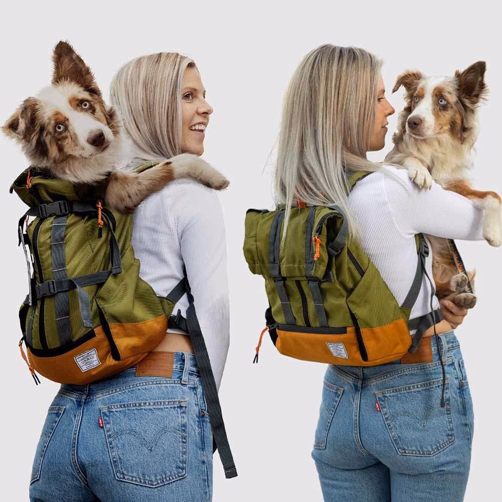 Hvordan viser en hund, at den har smerter?