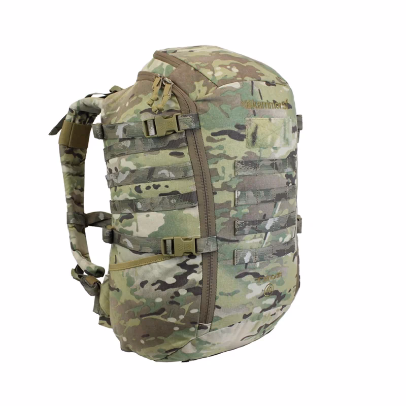 Hvor mange i det danske forsvar?