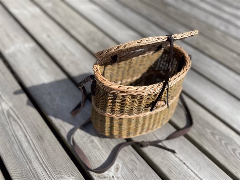 Hvordan behandler man pileflet?